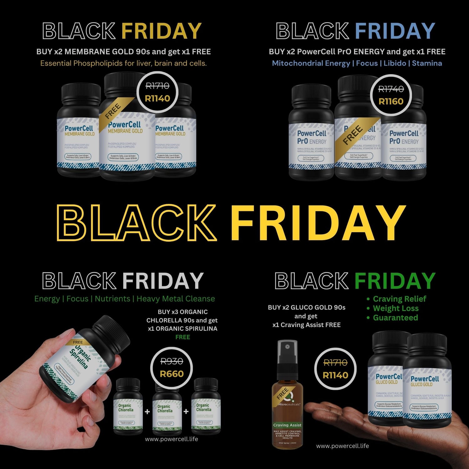 BLACK FRIDAY SALE