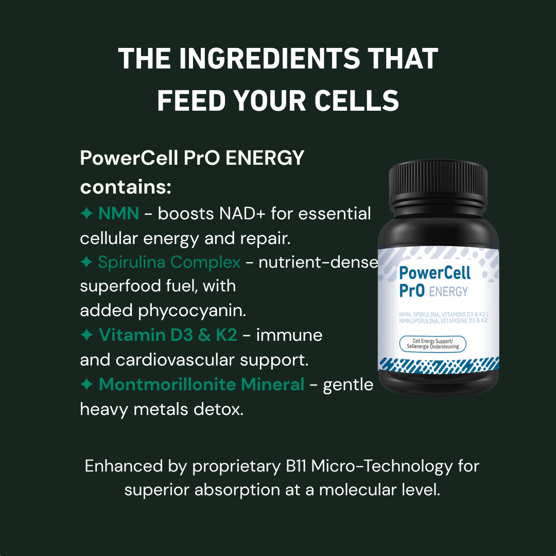 PowerCell PrO ENERGY 30s - One-a-Day Energy Powerhouse